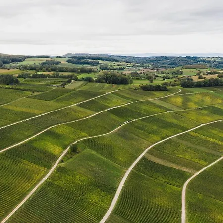 Winzerhof Keller * 奥根