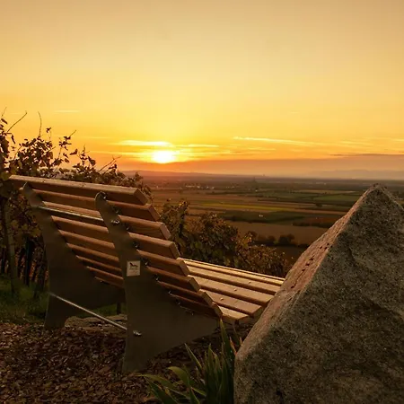 公寓 Winzerhof Keller