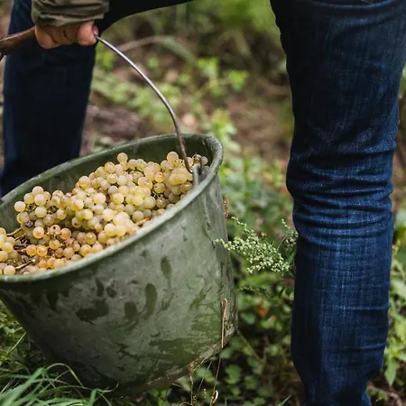 Winzerhof Keller * 奥根