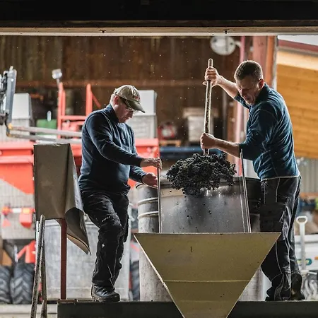 公寓 Winzerhof Keller *