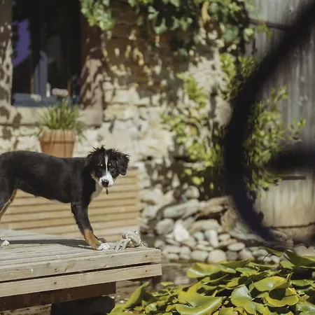 Winzerhof Keller شقة أوغين