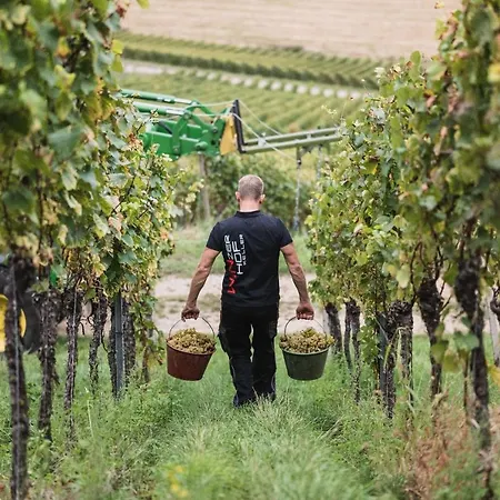 Апартаменты Winzerhof Keller *