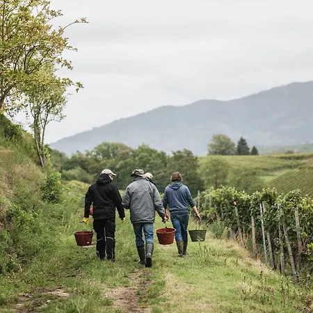 Winzerhof Keller Аугген