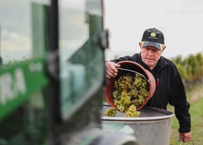 Winzerhof Keller Apartamento *