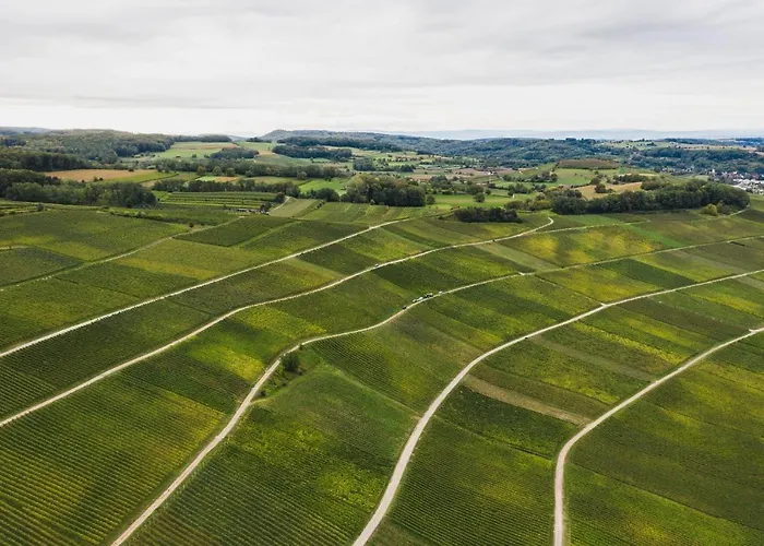 Winzerhof Keller * Auggen