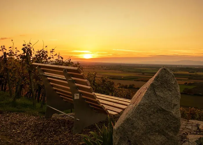 Apartamento Winzerhof Keller