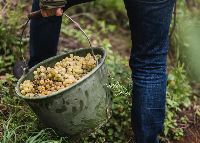 Winzerhof Keller * Auggen