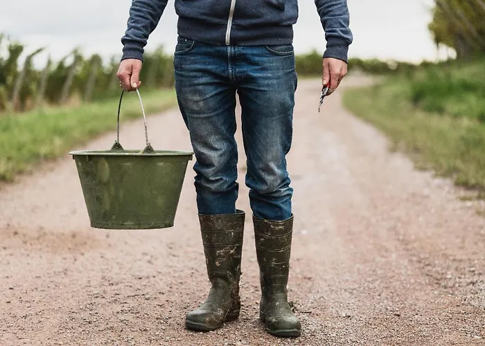 Apartamento Winzerhof Keller *