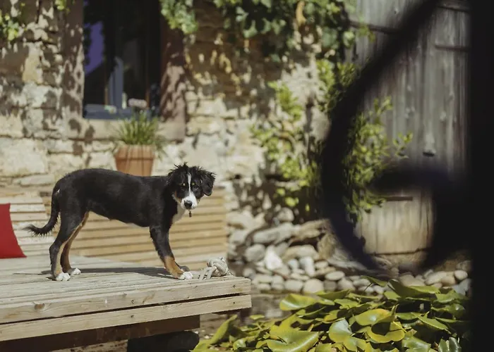 Winzerhof Keller Apartamento Auggen