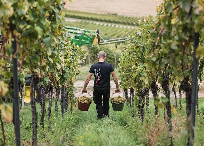 Apartamento Winzerhof Keller *